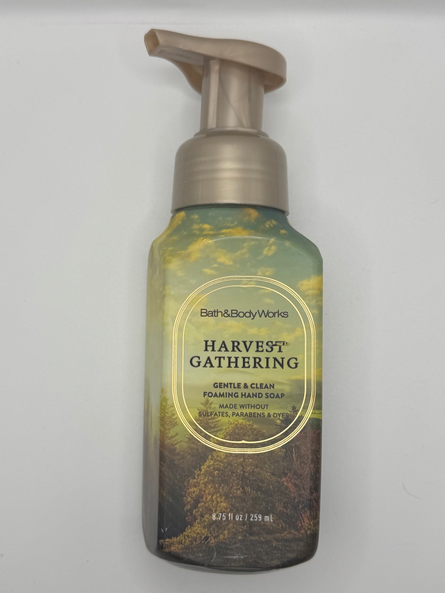 BBW Foaming & Gel Hand Soaps