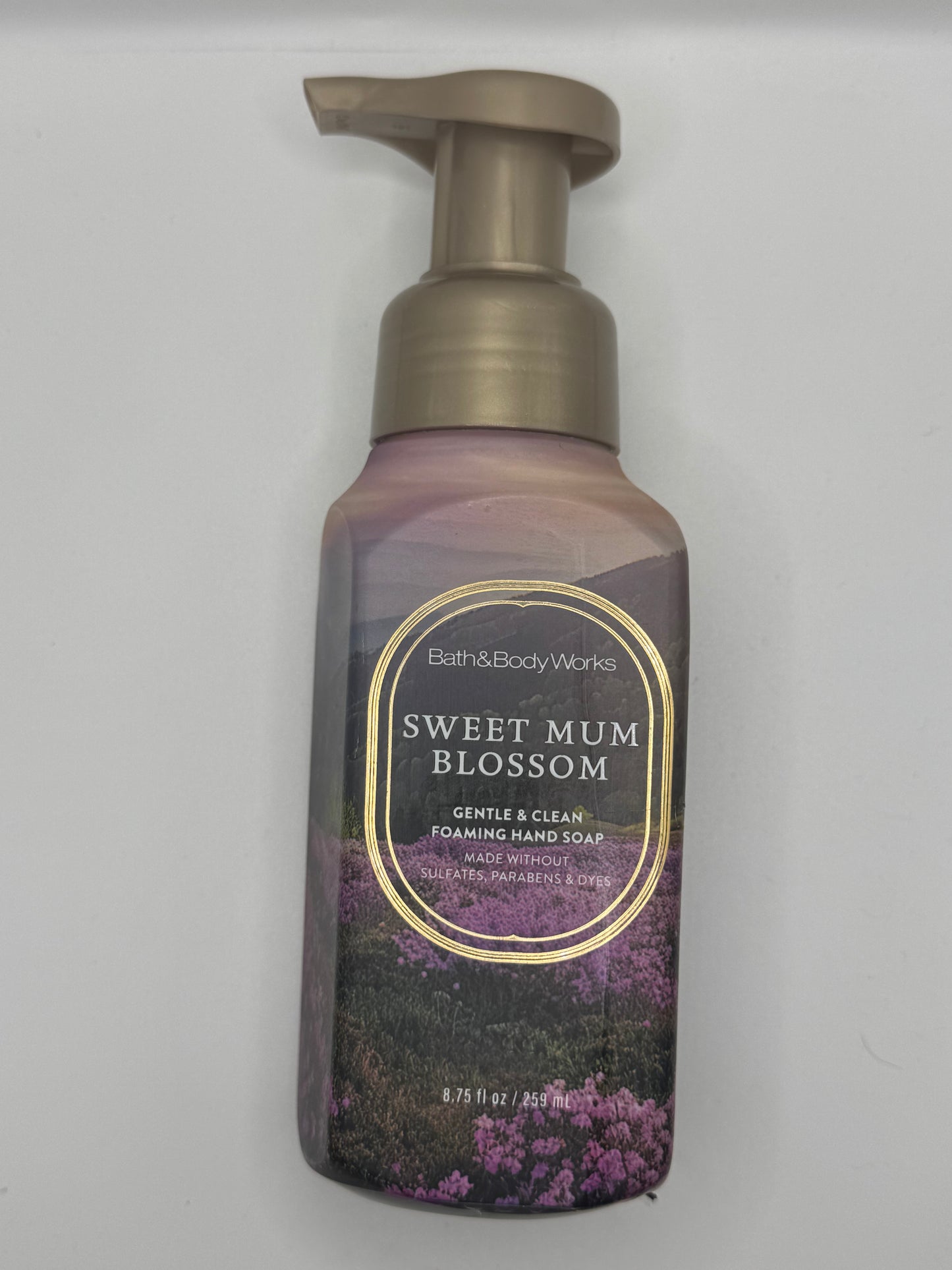 BBW Foaming & Gel Hand Soaps