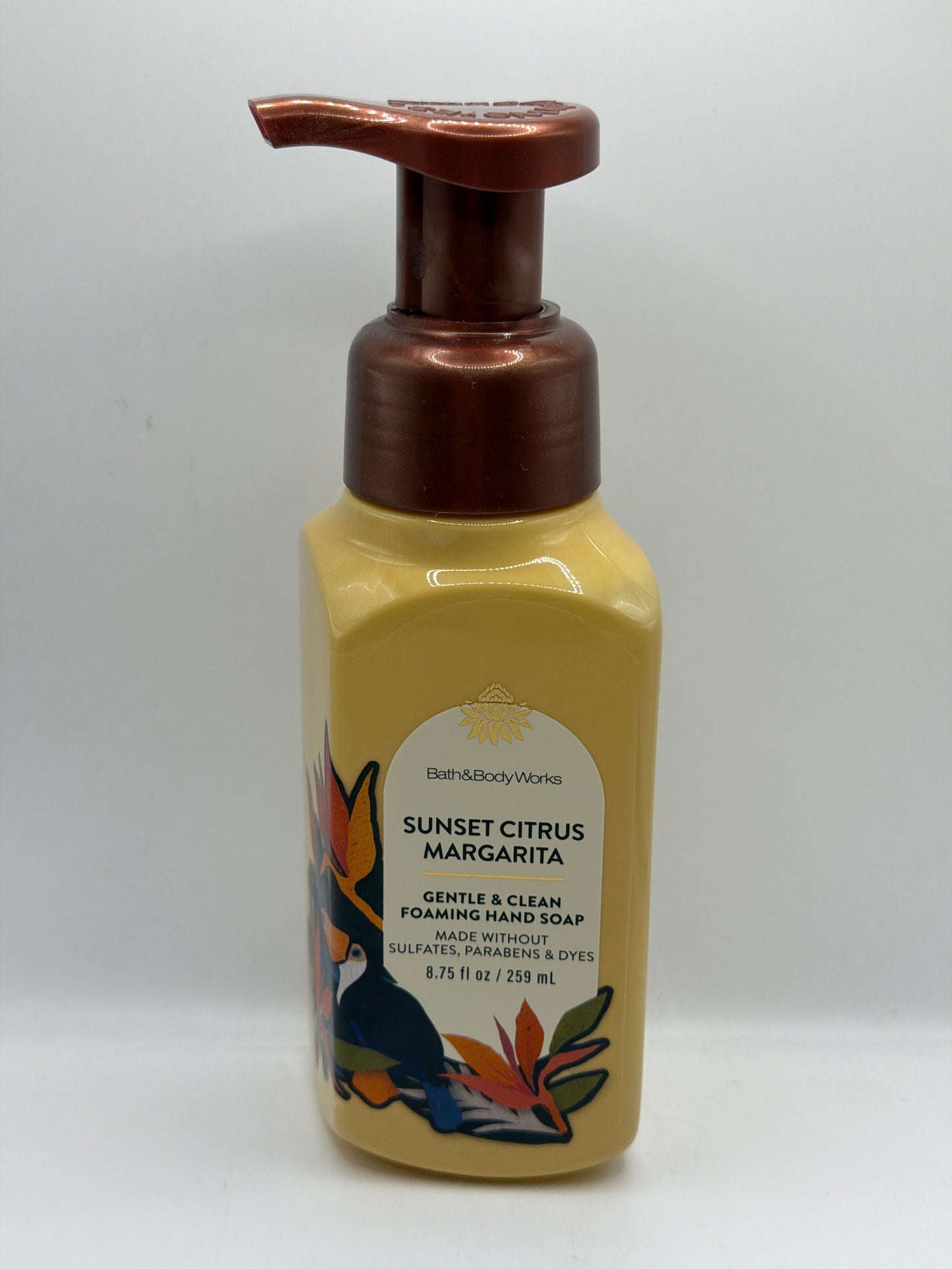 BBW Foaming & Gel Hand Soaps plus Refills