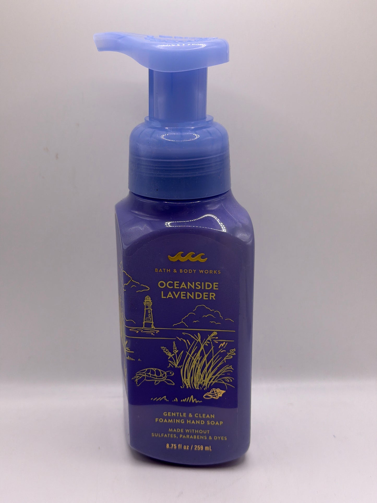 BBW Foaming & Gel Hand Soaps plus Refills