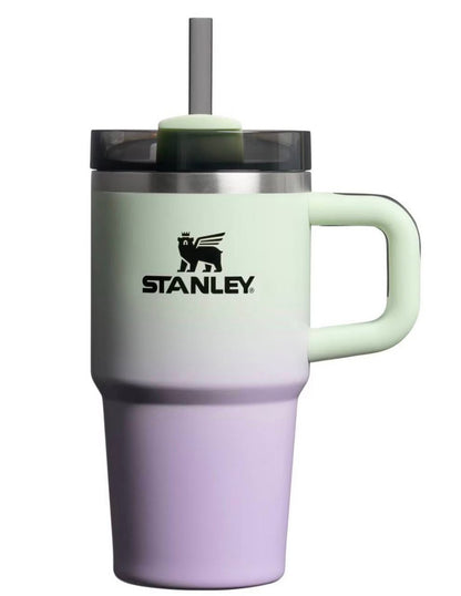 Stanley Halloween Editions Stainless Steel H2.0 Flowstate Quencher 20oz & 40oz Tumblers