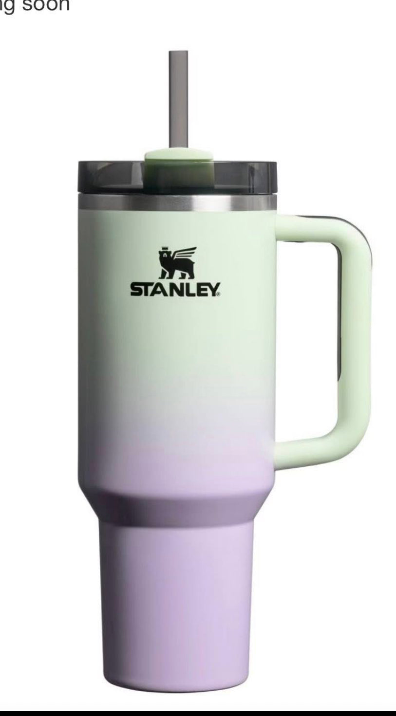 Stanley Halloween Editions Stainless Steel H2.0 Flowstate Quencher 20oz & 40oz Tumblers