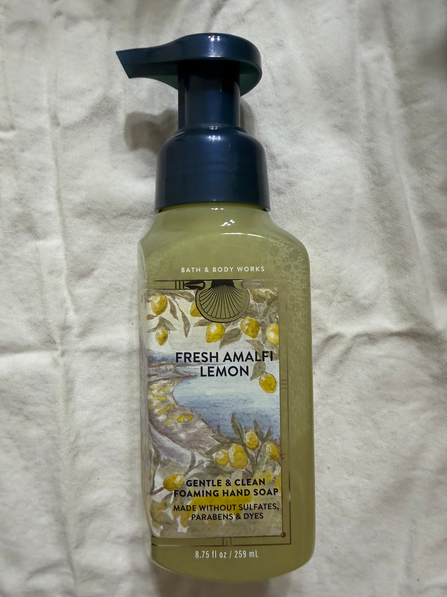BBW Foaming & Gel Hand Soaps plus Refills