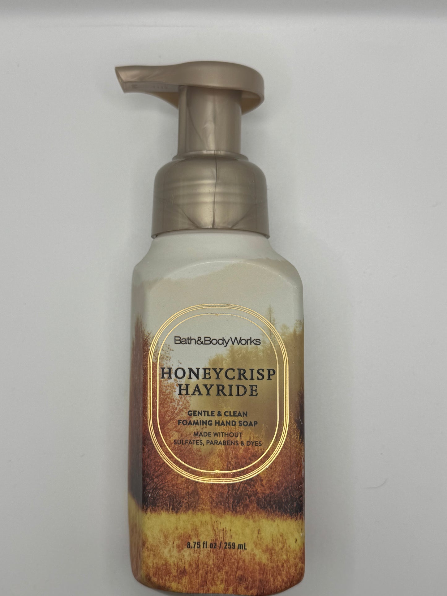 BBW Foaming & Gel Hand Soaps