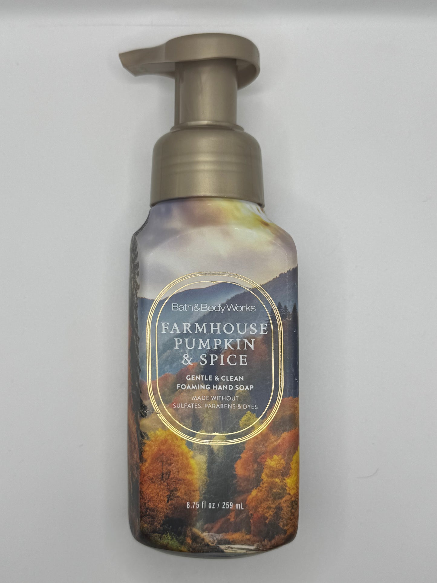 BBW Foaming & Gel Hand Soaps