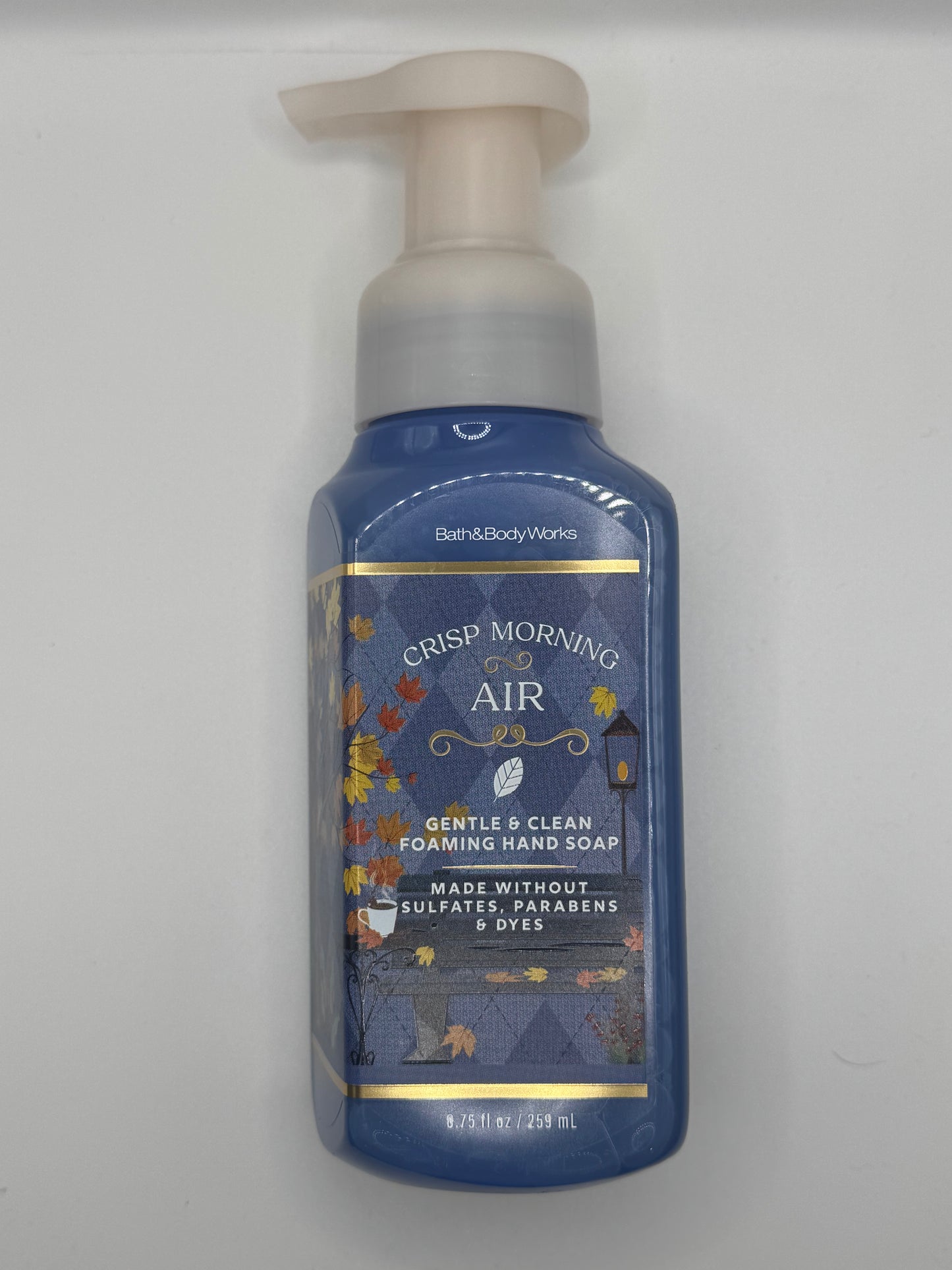 BBW Foaming & Gel Hand Soaps