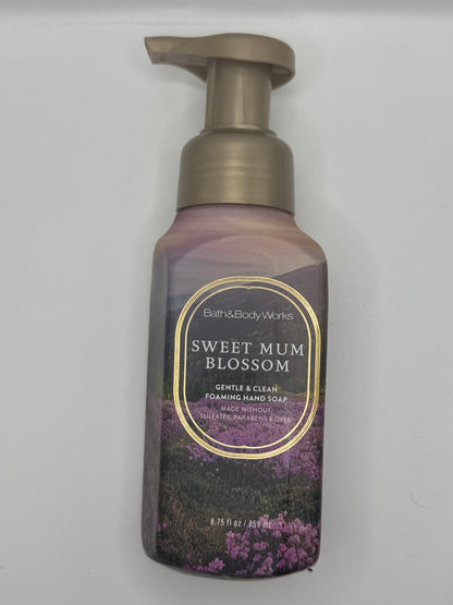 BBW Foaming & Gel Hand Soaps