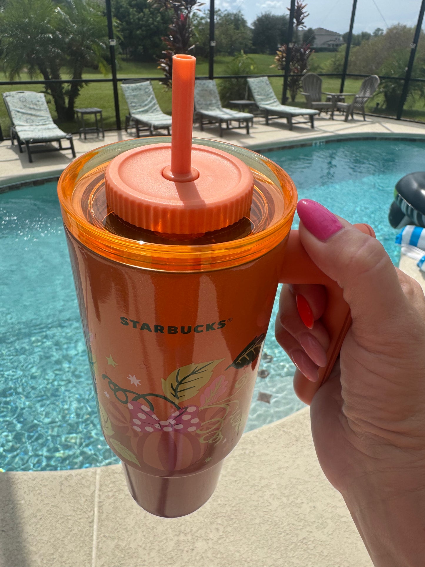 Walt Disney World Starbucks Metal Tumbler with handle Pumpkin Edition