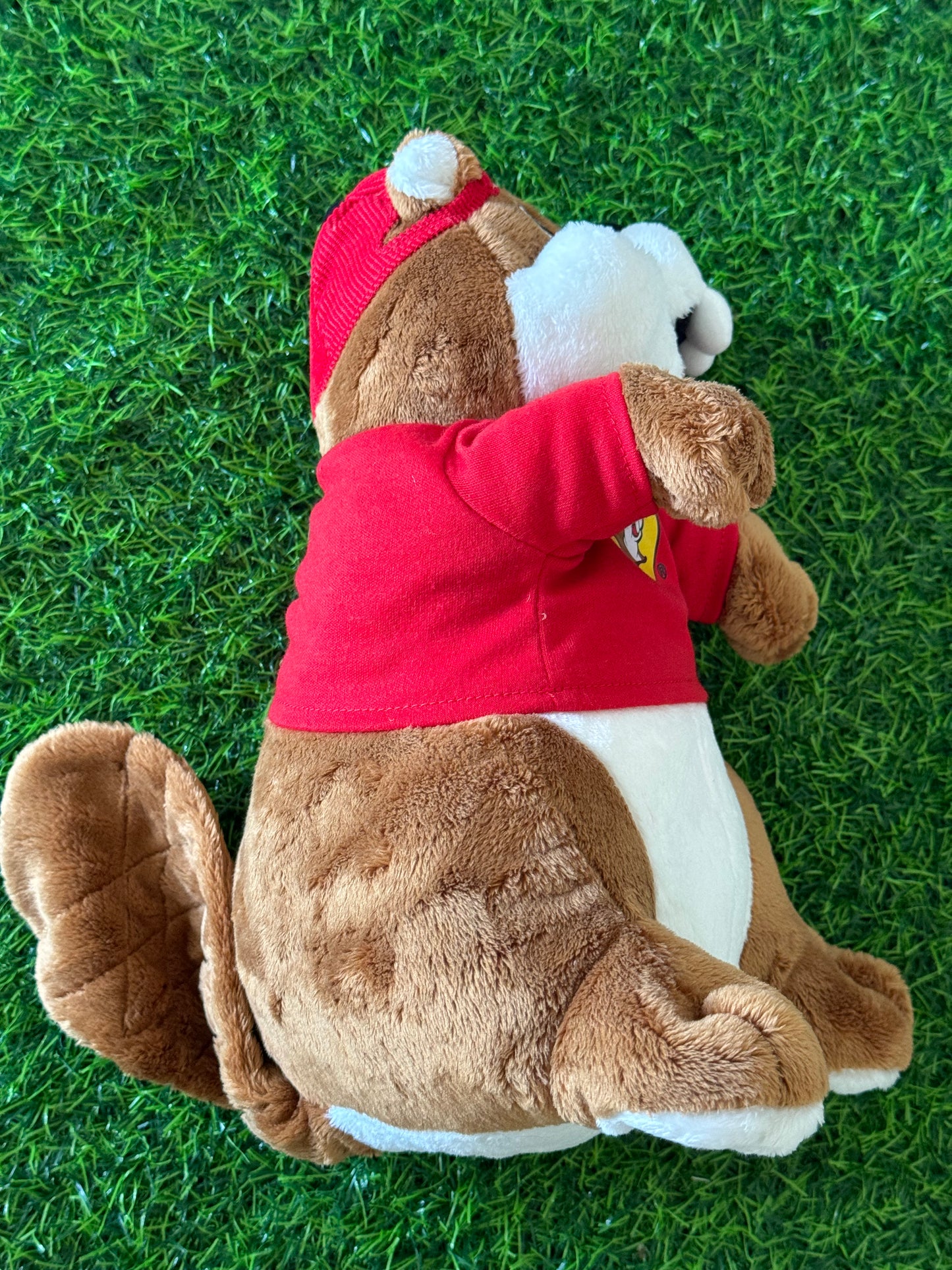 Bucees Merchandise & Snacks